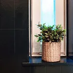 Bellavista 3 View * Lugano